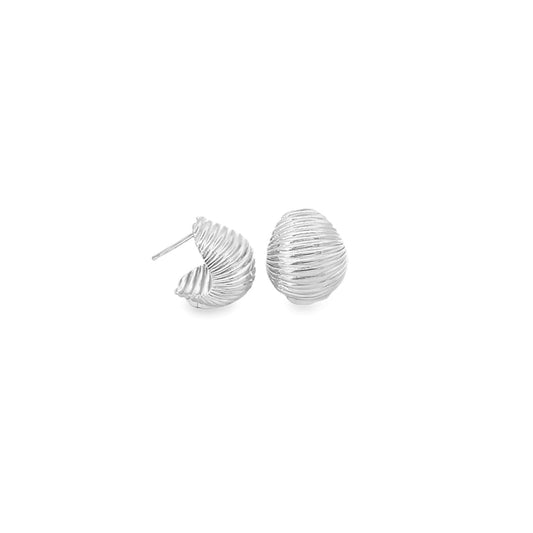 Seashell Ribbed Earrings