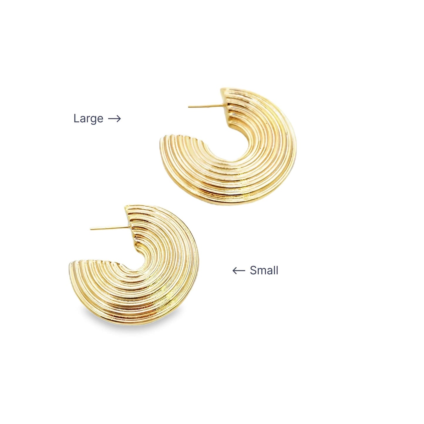 Ribbed Disc Hoop Earrings