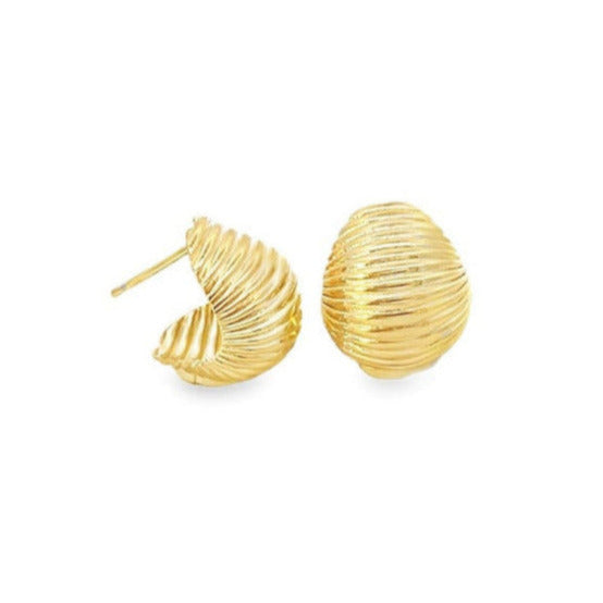 Seashell Ribbed Earrings